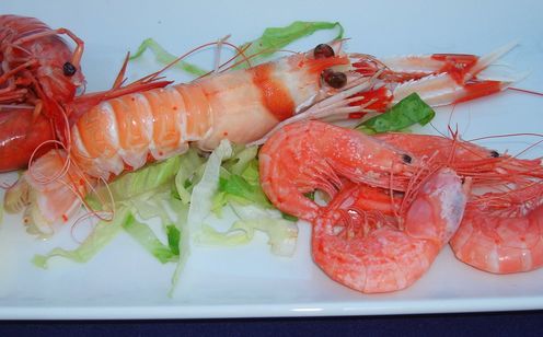 Gastronomie in Moraira